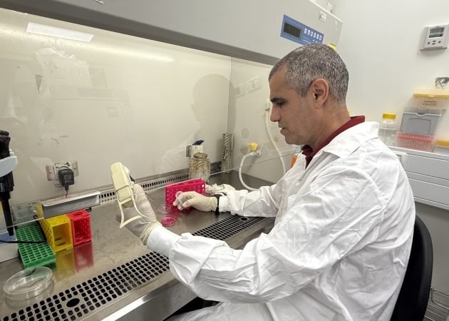 Un avance histórico nacido en la TAU